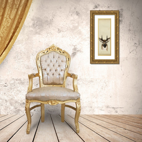 Triptych Whitetail II Gold Ornate Wood Framed Art Print with Double Matting by Popp, Grace