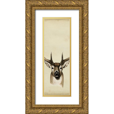 Triptych Whitetail II Gold Ornate Wood Framed Art Print with Double Matting by Popp, Grace