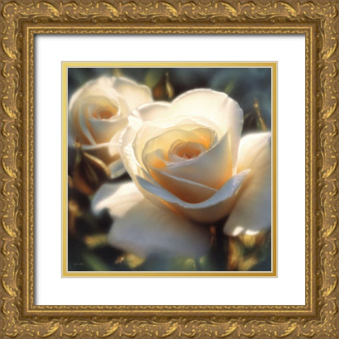 White Rose - Colors of White - Square Gold Ornate Wood Framed Art Print with Double Matting by Bogle, Collin