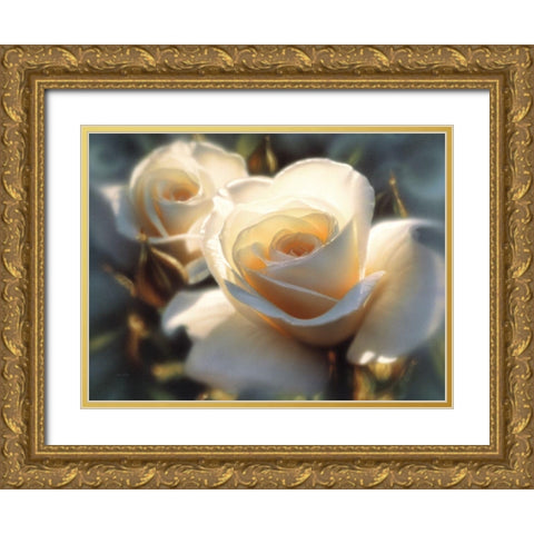 White Roses - Colors of White Gold Ornate Wood Framed Art Print with Double Matting by Bogle, Collin