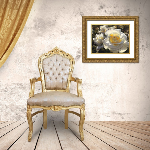White Roses Gold Ornate Wood Framed Art Print with Double Matting by Bogle, Collin