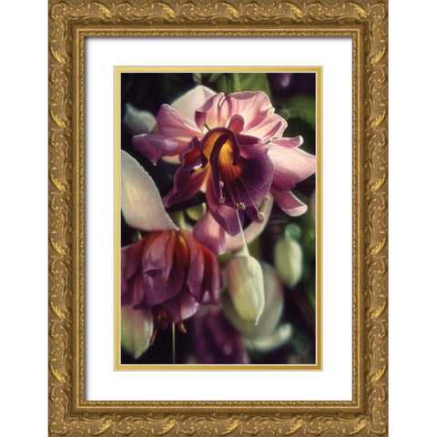 Fuchsia Gold Ornate Wood Framed Art Print with Double Matting by Bogle, Collin