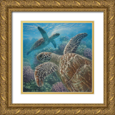 Sea Turtles - Turtle Bay - Square Gold Ornate Wood Framed Art Print with Double Matting by Bogle, Collin