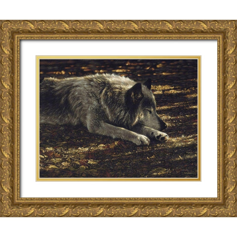 Resting Wolf Gold Ornate Wood Framed Art Print with Double Matting by Bogle, Collin