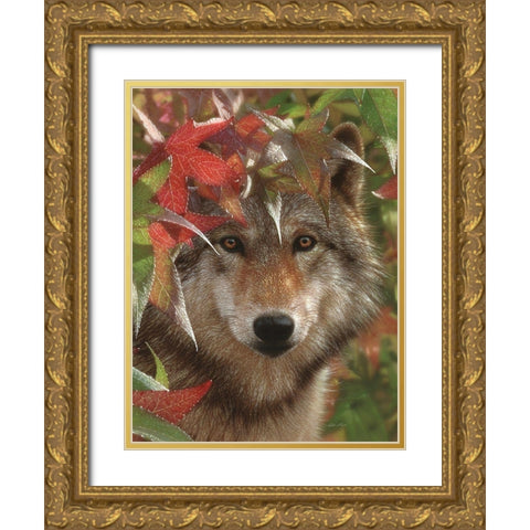 Wolf - Autumn Encounter Gold Ornate Wood Framed Art Print with Double Matting by Bogle, Collin