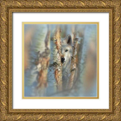 Wolf - Focused Gold Ornate Wood Framed Art Print with Double Matting by Bogle, Collin