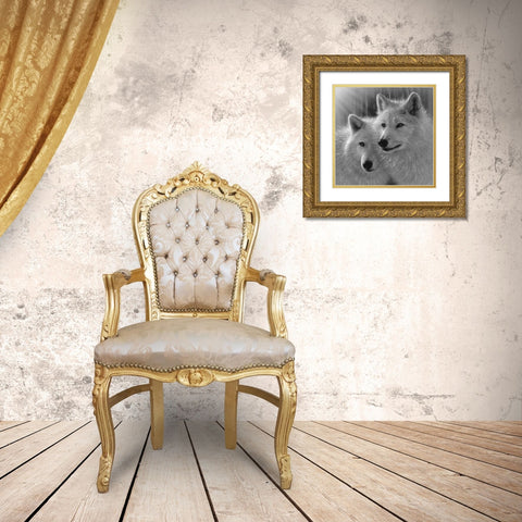 Wolves - Sunlit Soulmates - BandW Gold Ornate Wood Framed Art Print with Double Matting by Bogle, Collin
