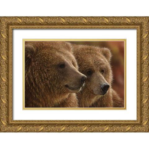 Brown Bears - Lazy Daze Gold Ornate Wood Framed Art Print with Double Matting by Bogle, Collin