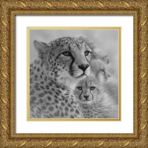 Cheetah Mother and Cubs - Mothers Love - Square - BandW Gold Ornate Wood Framed Art Print with Double Matting by Bogle, Collin