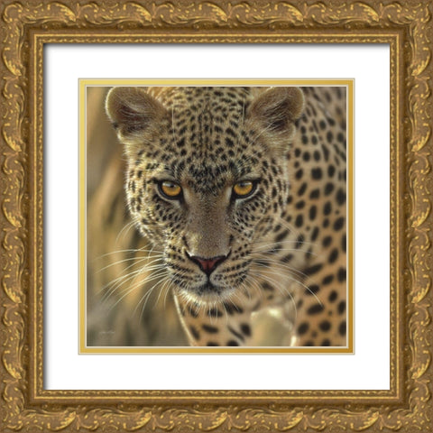 Leopard - On the Prowl - Square Gold Ornate Wood Framed Art Print with Double Matting by Bogle, Collin