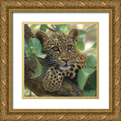 Leopard Cub - Tree Hugger Gold Ornate Wood Framed Art Print with Double Matting by Bogle, Collin