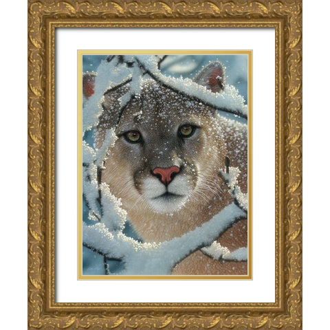 Cougar - Silent Encounter Gold Ornate Wood Framed Art Print with Double Matting by Bogle, Collin