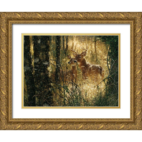 Whitetail Deer - A Golden Moment - Horizontal Gold Ornate Wood Framed Art Print with Double Matting by Bogle, Collin