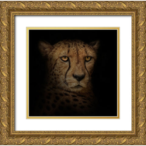 Out of the Shadows Gold Ornate Wood Framed Art Print with Double Matting by Parker, Kelley