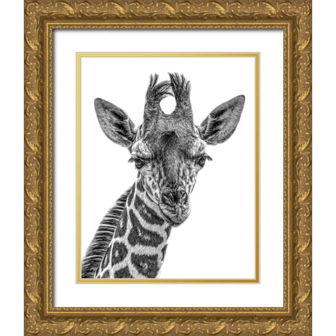 Young One Gold Ornate Wood Framed Art Print with Double Matting by Parker, Kelley