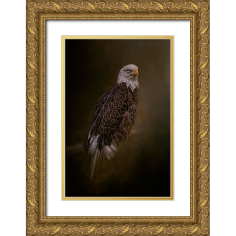Freedom Flyer Gold Ornate Wood Framed Art Print with Double Matting by Parker, Kelley