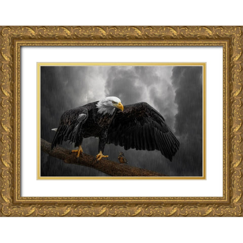 Storm Compassion Gold Ornate Wood Framed Art Print with Double Matting by Parker, Kelley
