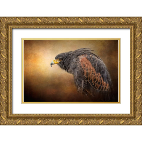 Hawkeye Gold Ornate Wood Framed Art Print with Double Matting by Parker, Kelley
