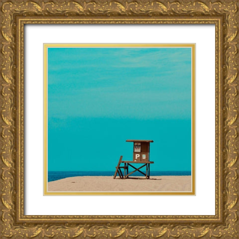 No Lifeguard on Duty Gold Ornate Wood Framed Art Print with Double Matting by Singleton, Ashley