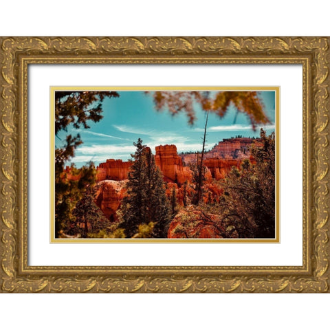 Bryce Canyon Gold Ornate Wood Framed Art Print with Double Matting by Singleton, Ashley
