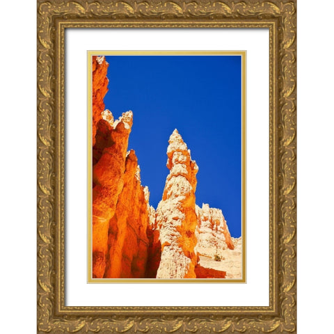 Hoodoo Gold Ornate Wood Framed Art Print with Double Matting by Singleton, Ashley