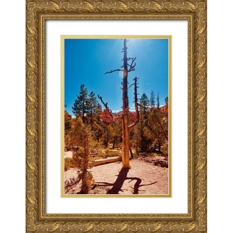 Timeless Treasures Gold Ornate Wood Framed Art Print with Double Matting by Singleton, Ashley