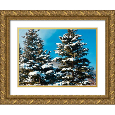 Evergreens Gold Ornate Wood Framed Art Print with Double Matting by Singleton, Ashley