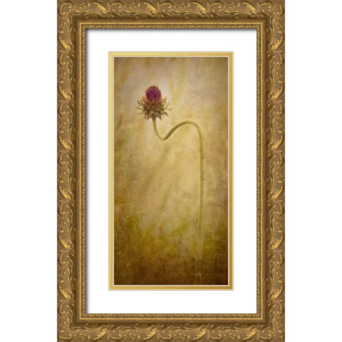 Thistle Gold Ornate Wood Framed Art Print with Double Matting by Murdock, Ramona