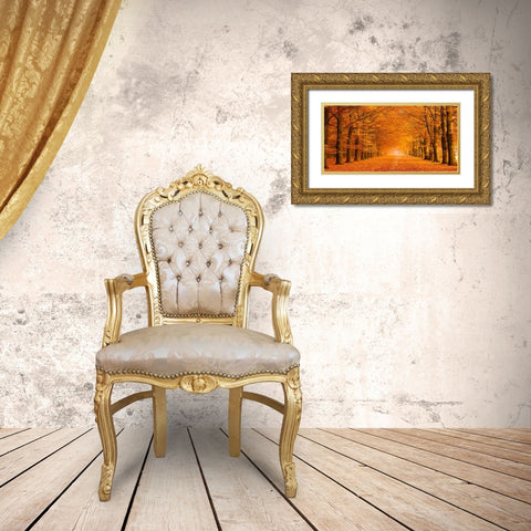 Woods in autumn Gold Ornate Wood Framed Art Print with Double Matting by Pangea Images