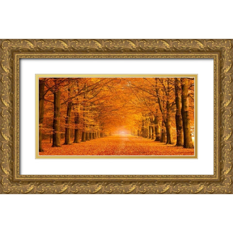 Woods in autumn Gold Ornate Wood Framed Art Print with Double Matting by Pangea Images