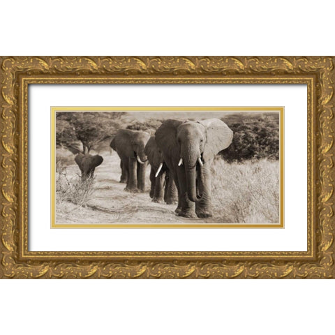 Herd of African Elephants- Kenya Gold Ornate Wood Framed Art Print with Double Matting by Anonymous