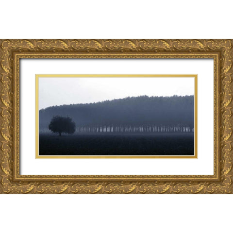 Sinfonia d autunno Gold Ornate Wood Framed Art Print with Double Matting by Ferrua, Fulvio