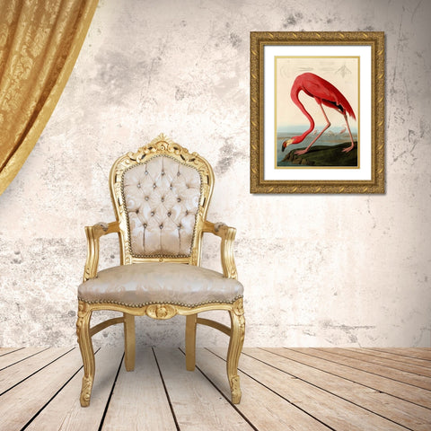 American Red Flamingo Gold Ornate Wood Framed Art Print with Double Matting by Audubon, John James