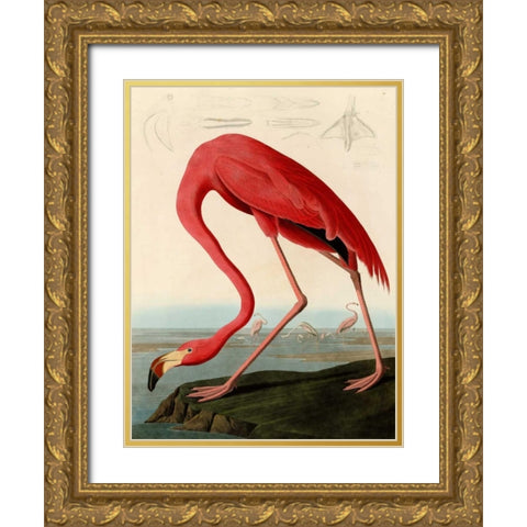 American Red Flamingo Gold Ornate Wood Framed Art Print with Double Matting by Audubon, John James