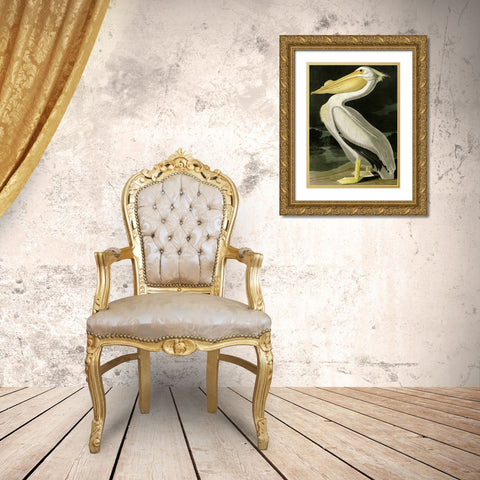 American White Pelican Gold Ornate Wood Framed Art Print with Double Matting by Audubon, John James