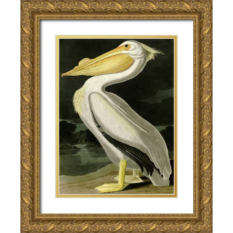 American White Pelican Gold Ornate Wood Framed Art Print with Double Matting by Audubon, John James