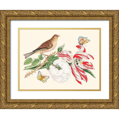 A Bird on a branch with Rose-Tulip and Butterflies Gold Ornate Wood Framed Art Print with Double Matting by Anonymous