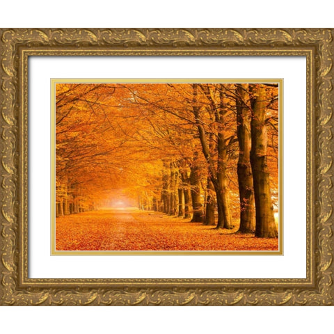 Woods in autumn Gold Ornate Wood Framed Art Print with Double Matting by Pangea Images