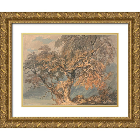 A Great Tree Gold Ornate Wood Framed Art Print with Double Matting by Turner, William
