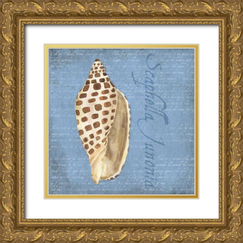 Oceanum Shells Blue II Gold Ornate Wood Framed Art Print with Double Matting by Reed, Tara