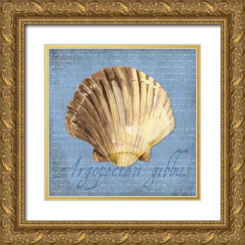Oceanum Shells Blue V Gold Ornate Wood Framed Art Print with Double Matting by Reed, Tara