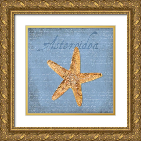 Oceanum Shells Blue VI Gold Ornate Wood Framed Art Print with Double Matting by Reed, Tara