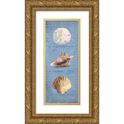 Oceanum Shell Panel Blue I Gold Ornate Wood Framed Art Print with Double Matting by Reed, Tara