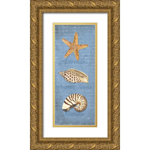 Oceanum Shell Panel Blue II Gold Ornate Wood Framed Art Print with Double Matting by Reed, Tara