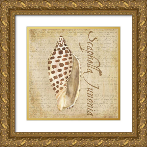 Oceanum Shells Beige II Gold Ornate Wood Framed Art Print with Double Matting by Reed, Tara
