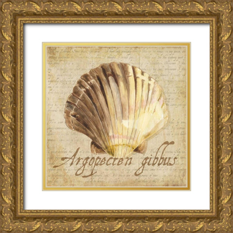 Oceanum Shells Beige V Gold Ornate Wood Framed Art Print with Double Matting by Reed, Tara