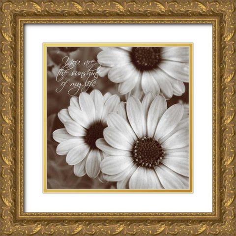 Sepia Blossoms I Gold Ornate Wood Framed Art Print with Double Matting by Romita, Denise