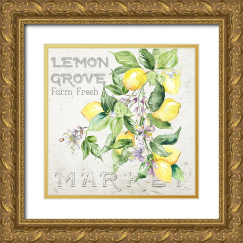 Lemon Grove II Gold Ornate Wood Framed Art Print with Double Matting by Tre Sorelle Studios