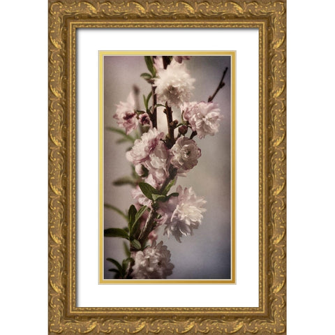 Blossoming Almond 1 Gold Ornate Wood Framed Art Print with Double Matting by Greenwood, Julie