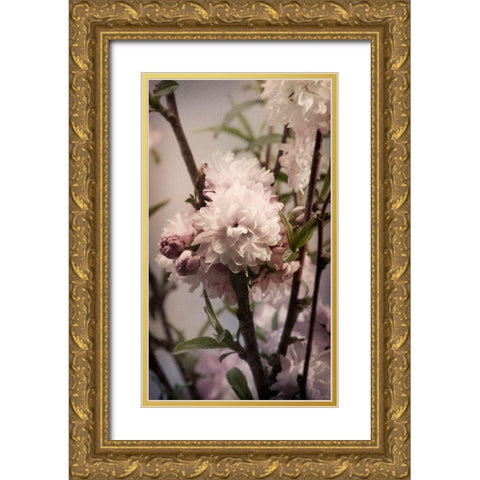 Blossoming Almond 2 Gold Ornate Wood Framed Art Print with Double Matting by Greenwood, Julie
